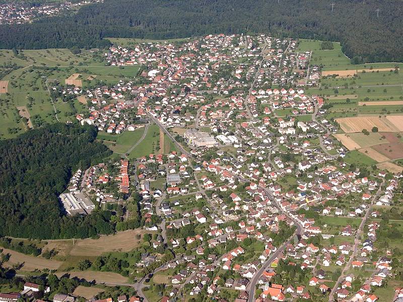 Datei:Schwann4.jpg