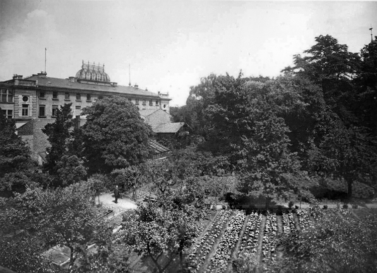 Datei:Garten im Saackeschen Park.jpg
