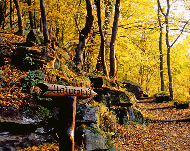 Datei:Naturpfad1.jpg
