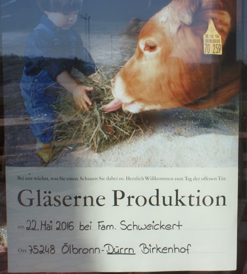 Datei:Gläserne Produktion Dürrn.jpg