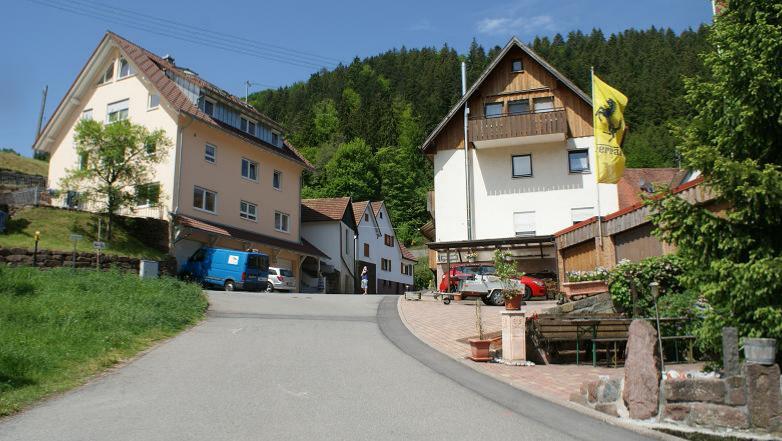Datei:Tannenhau von Candidus.jpg