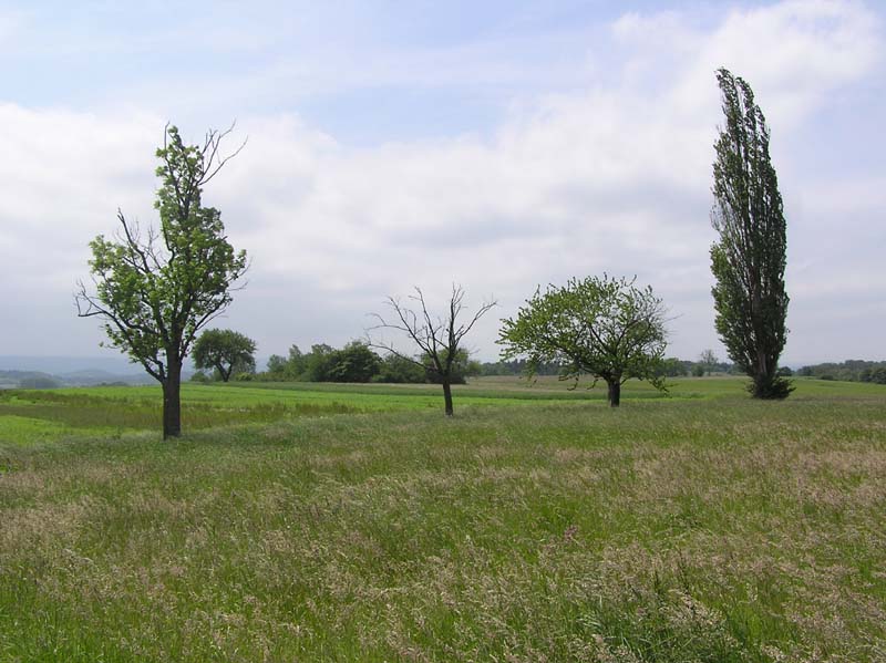 Datei:Eisingerloch7.jpg