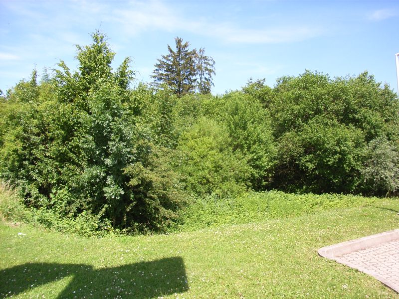 Datei:Enzenloch 1.jpg
