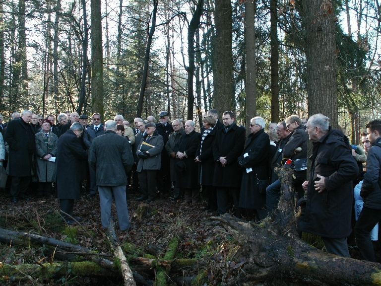 Datei:Bombentrichter im Hagenschiess.jpg