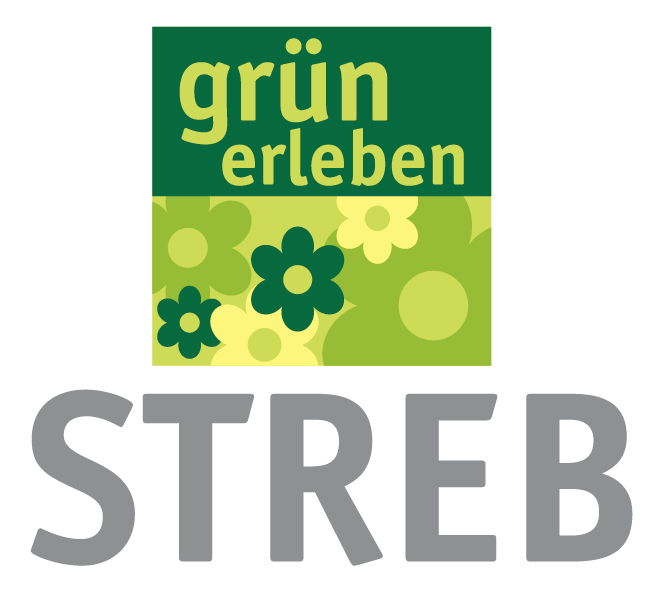 Datei:Streb.png