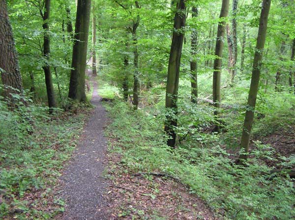 Datei:Eppingerlinie02.jpg
