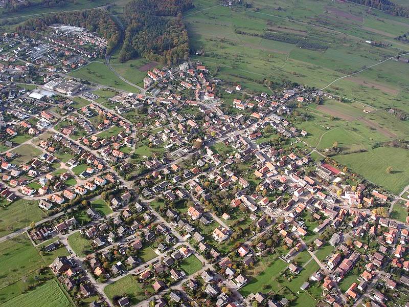 Datei:Schwann1.jpg