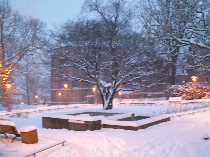 Datei:Pf schlossgarten winter2007.jpg