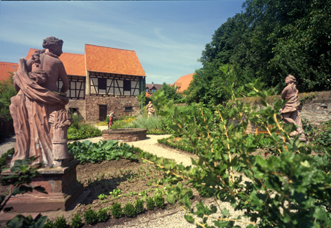 Datei:Kräutergarten.jpg