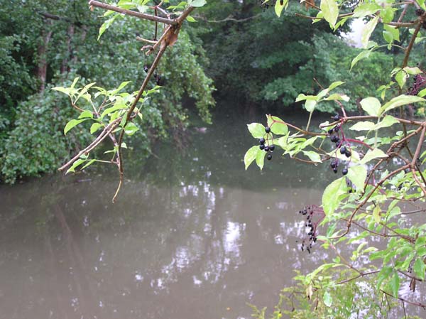 Datei:Kaempfelbach.jpg