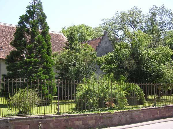 Datei:Koenigsbach5.jpg