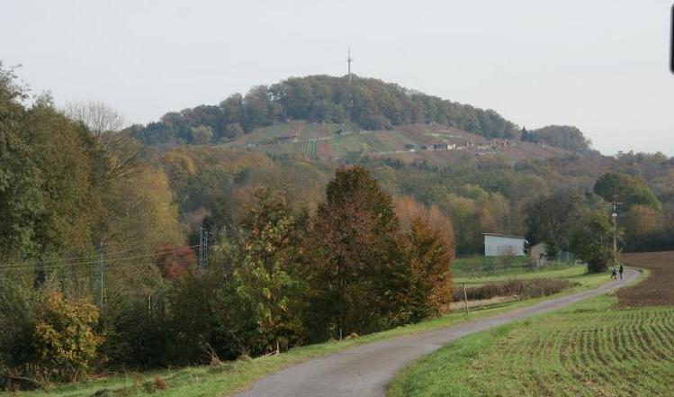 Datei:Blick zum Aschberg.jpg