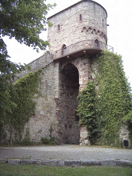 Datei:Hohennagold4.jpg