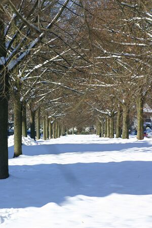 Fixi arlinger schnee.JPG