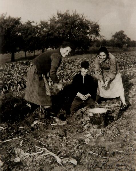 Datei:GHV Erinnerungen Schafhof2.jpg