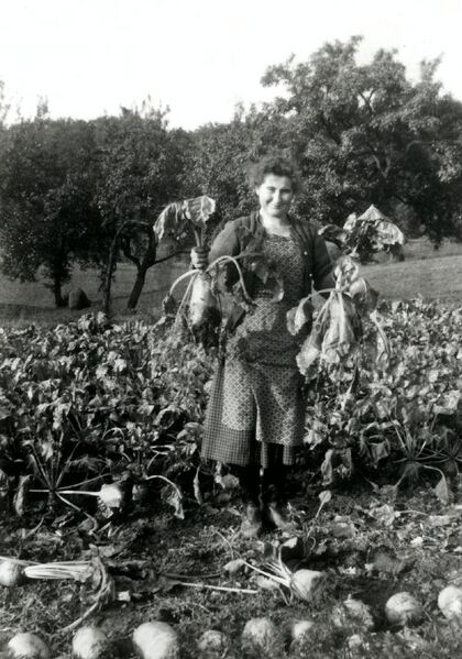 Datei:Erinnerungen Schafhof5.jpg