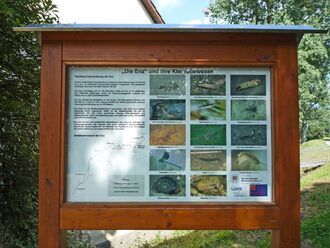 Muehlhausen-Enz-Infotafel-Kleinlebewesen.jpg