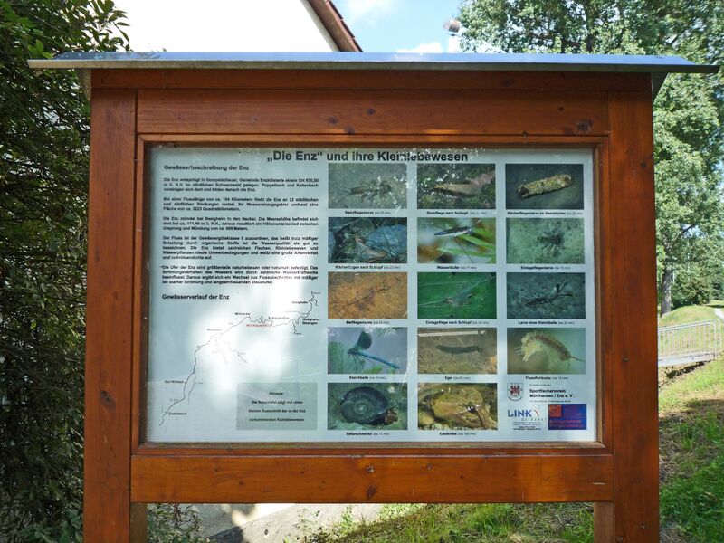 Datei:Muehlhausen-Enz-Infotafel-Kleinlebewesen.jpg