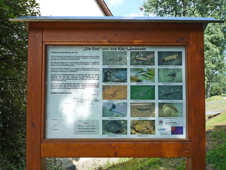 Datei:Muehlhausen-Enz-Infotafel-Kleinlebewesen.jpg