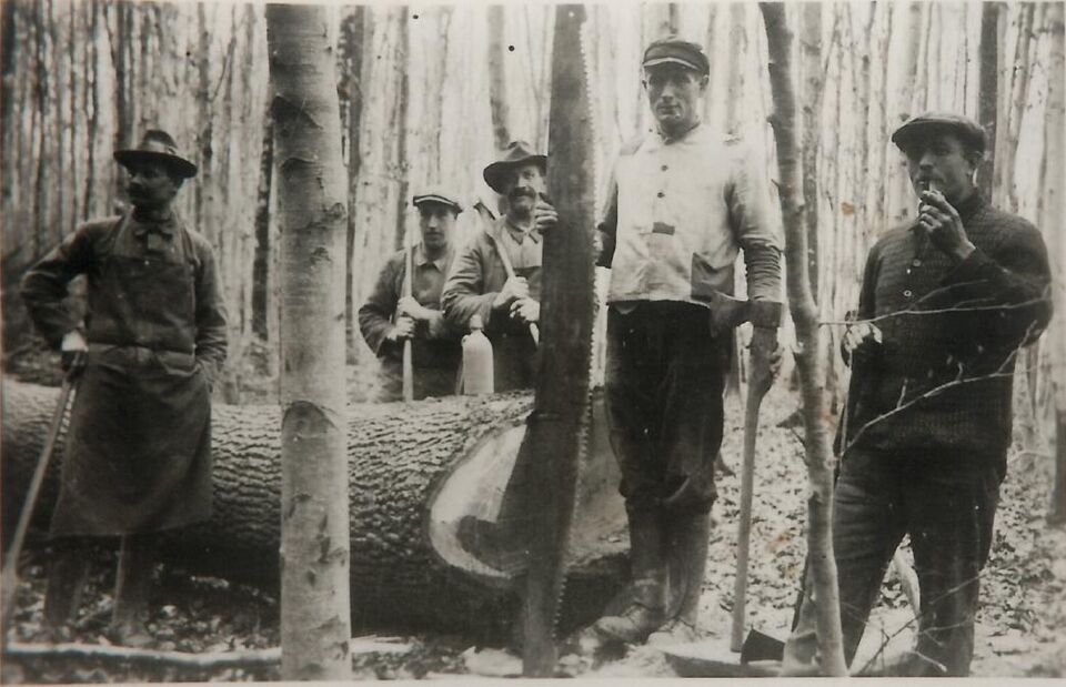 Datei:GHV Erinnerungen Schafhof1.jpg