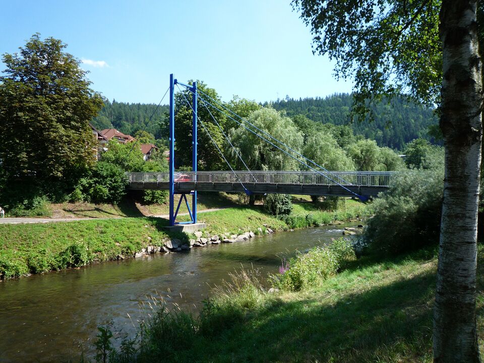 Datei:Bad-Liebenzell-Steg-Mitte.jpg