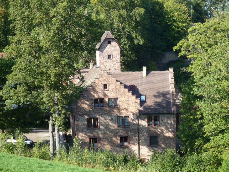 Datei:Steinegg-Burg.jpg