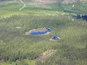Hohlohsee.jpg