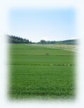 Vorschaubild der Version vom 21:53, 7. Jun. 2008