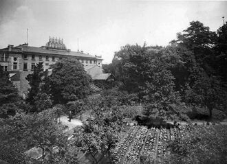 Garten im Saackeschen Park.jpg