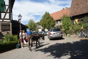 Eslreiten beim Musumsfest Maulbronn.JPG