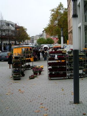 HPIM0180.JPG