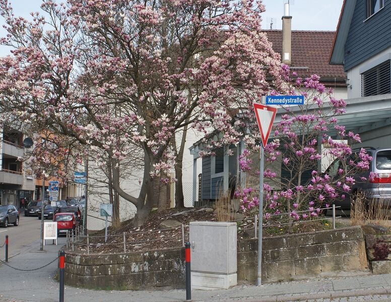 Datei:Kennedystraße ecke Stuttgarter gerade.jpg