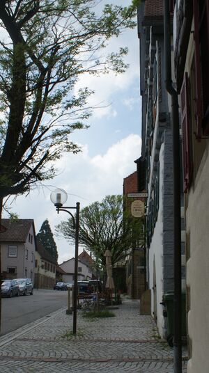 Hirsch Lienzingen.jpg