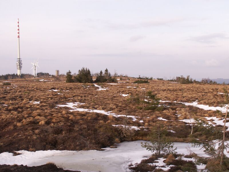Datei:Hochmoor und Sendemast.JPG