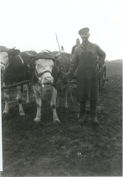 Datei:GHV Erinnerungen Schafhof9.jpg