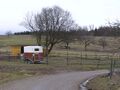 Gestüt auf den Schlossäckern