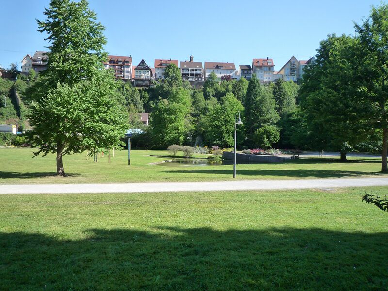 Datei:Wildberg-v-Reuthin.jpg