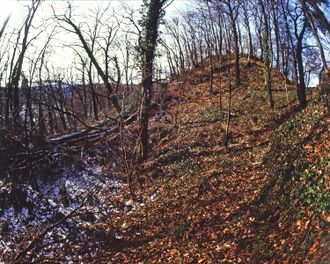 Hoheneck-Burghuegel-Herbst.jpg
