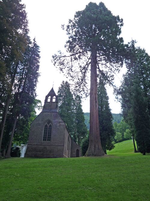 Datei:Bad-Wildbad-englische-Kirche2.jpg