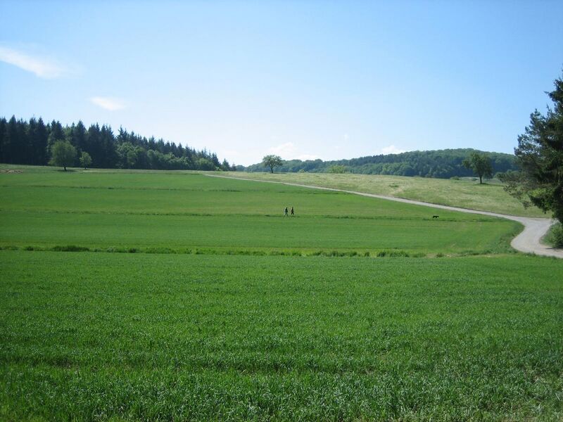 Datei:ImRanntal.jpg