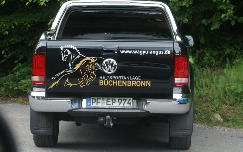 Datei:Reisportanlag Büchenbronn.JPG