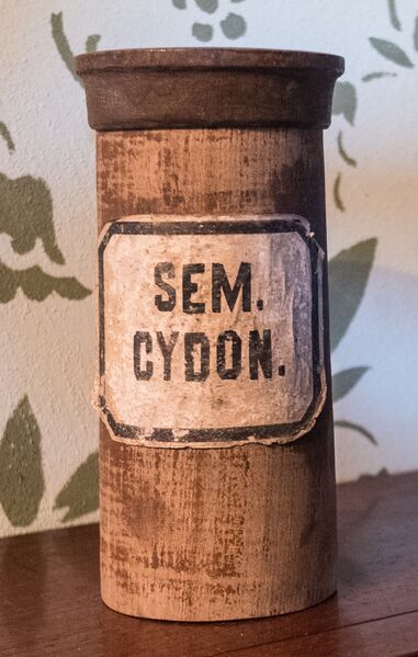 Datei:GHV Apotheke Standgefaess-Holz-SemCydon.jpg