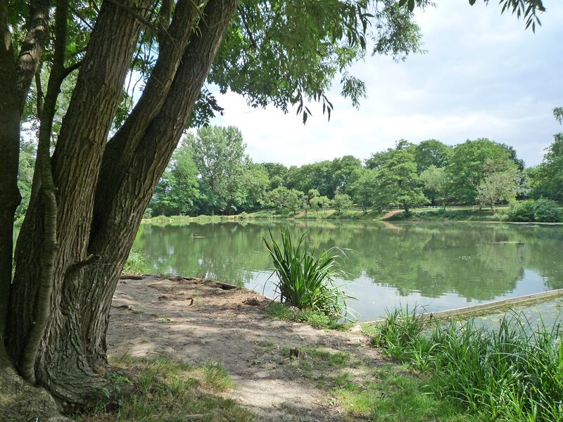 Datei:Bauschlott-Boellstrichseen.jpg