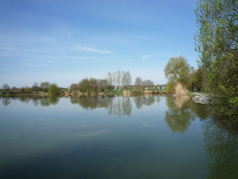 Datei:Ensingen-Ensingersee.jpg