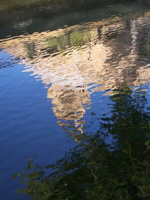 100 9753.JPG