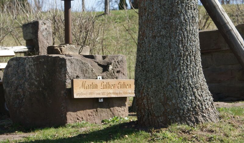 Datei:Martin Luther Eichen.jpg