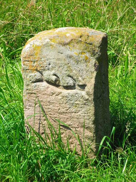 Datei:Dobel05.jpg