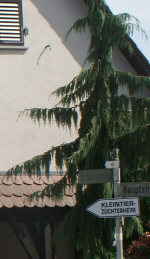 Schild Kleintierzüchterheim Weiler.JPG