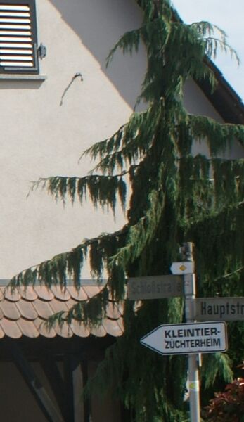 Datei:Schild Kleintierzüchterheim Weiler.JPG