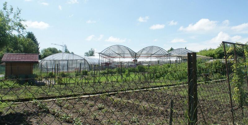 Datei:Gärtnerei Mannhardt in Lienzingen.JPG